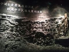 -平原博物院