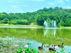 -福建鲤鱼洲酒店