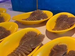 -舒友海鲜姿造(白鹭洲店)