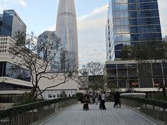 -深圳湾万象城(南山店)