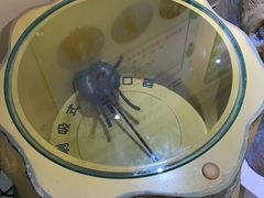 -上海昆虫博物馆