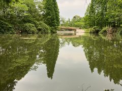 -桤木河湿地公园