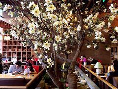 大堂-山有花啡餐厅(常营总店)