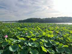 -翡翠湖迎宾馆·游泳馆