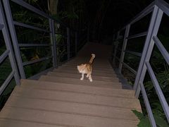 -白云山索道-售票处