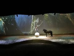 -cavalia·舞马