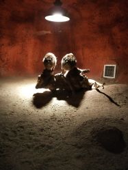 -酷嗒动物文化乐园(cutezoo西溪乐天城店)