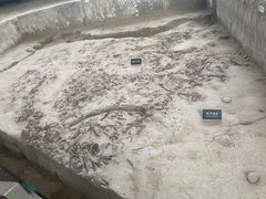 -金沙遗址博物馆