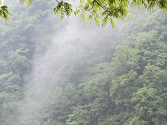 -青城山