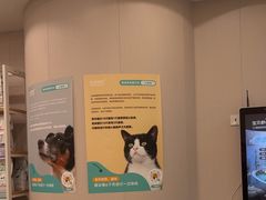 -瑞鹏宠物医院·骨科·猫科·内科(第一中心)