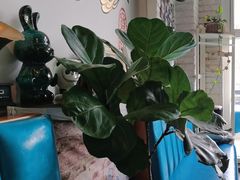 -My Way Town买味堂·东南亚餐厅(亦庄店)