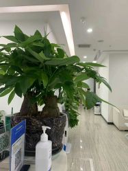 -悟空祛痘·亚健康皮肤管理中心