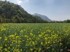 -贵阳市花溪国家城市湿地公园