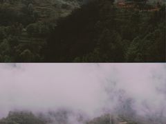 -秦岭风景区