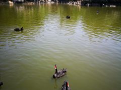 -无锡动物园·太湖欢乐园