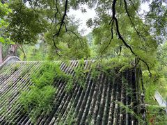 -潭柘寺景区