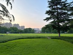 -青枫公园