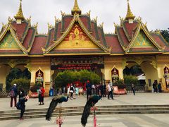 -西双版纳勐泐文化旅游区