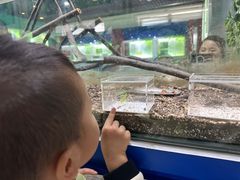 -上海昆虫博物馆