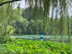 -WhaleSports户外水上运动俱乐部(朝阳公园店)