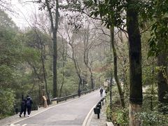 -岳麓山风景名胜区