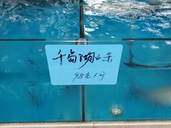 -钓台野鱼馆(钱江国际时代广场店)