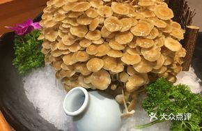 Fresh Wild Mushrooms