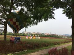 -美的鹭湖森林度假区