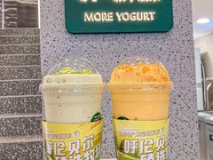 -茉酸奶(春熙路店)