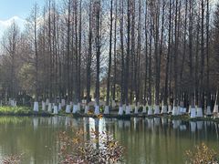 -捞渔河湿地公园