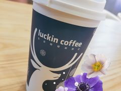 -瑞幸咖啡(浦江双辉店)