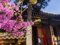 -西安市广仁寺