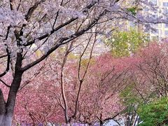 -白塘生态植物园