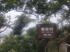 -紫金山山顶公园