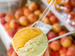 -Dip in Gelato(富民路店)