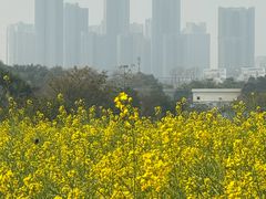 -光明小镇欢乐田园