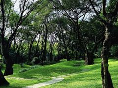 -云溪植物园