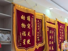 -天宠宠物医院24小时·急重症诊疗中心·全科·腔镜特色(和平分院)