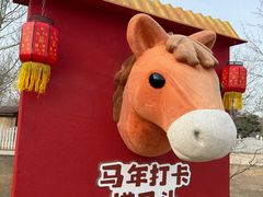 -秦皇岛野生动物园