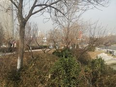 -绿岛公园(滨海新区)