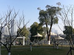 -西北湖绿化广场