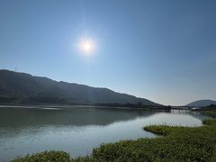 -风云岭森林公园