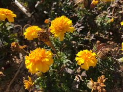 -漩门湾国家湿地公园