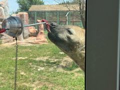 -鄂尔多斯野生动物园