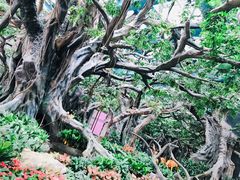 -碧桂园总部大楼