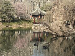 -水绘园