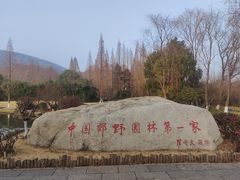 -习家池