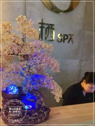 -栖SPA·ONDA ·海菲秀·皑皑科技美肤中心
