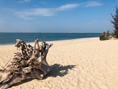 -惠州金海湾嘉华度假酒店