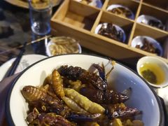 -昆虫窝子·特色云南菜(拓东路总店)